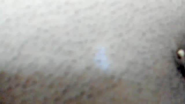 Gallery image thumbnail from Aeena's myfreecams stream on, 10/24/2023, 13:03 image 19 of 20