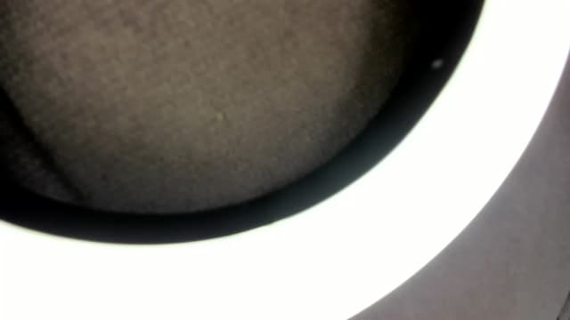 Gallery image thumbnail from Aeena's myfreecams stream on, 12/17/2023, 21:57 image 10 of 20