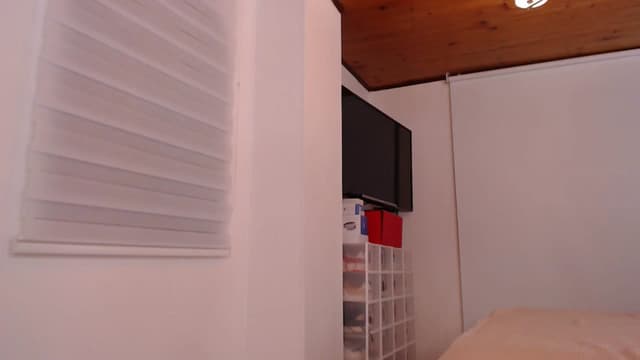 Gallery image thumbnail from AmyLi's myfreecams stream on, 11/28/2024, 05:43 image 13 of 20