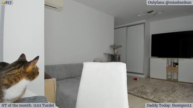 Gallery image thumbnail from Angie's myfreecams stream on, 01/09/2023, 06:34 image 8 of 20