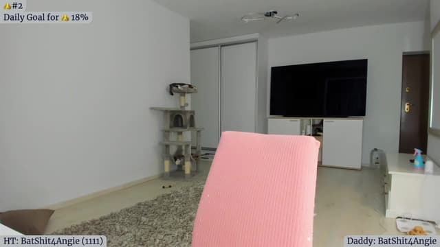 Gallery image thumbnail from Angie's myfreecams stream on, 02/21/2023, 05:00 image 13 of 20