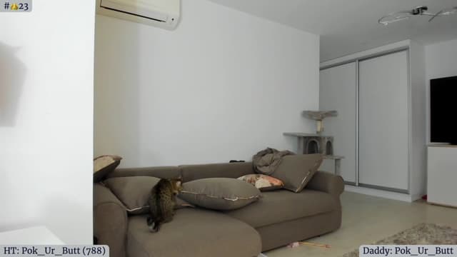 Gallery image thumbnail from Angie's myfreecams stream on, 03/07/2023, 05:29 image 14 of 20