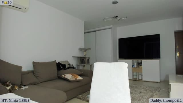 Gallery image thumbnail from Angie's myfreecams stream on, 03/21/2023, 04:12 image 16 of 20