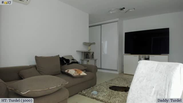Gallery image thumbnail from Angie's myfreecams stream on, 03/21/2023, 06:15 image 18 of 20
