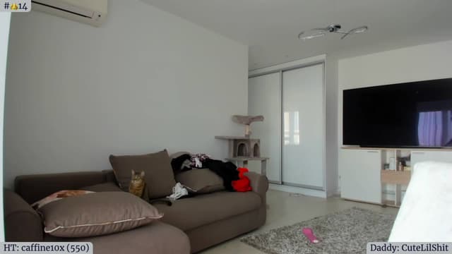 Gallery image thumbnail from Angie's myfreecams stream on, 03/22/2023, 14:31 image 6 of 20