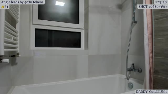Gallery image thumbnail from Angie's myfreecams stream on, 04/18/2023, 02:28 image 18 of 20