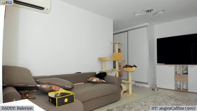 Gallery image thumbnail from Angie's myfreecams stream on, 07/24/2023, 06:06 image 4 of 20