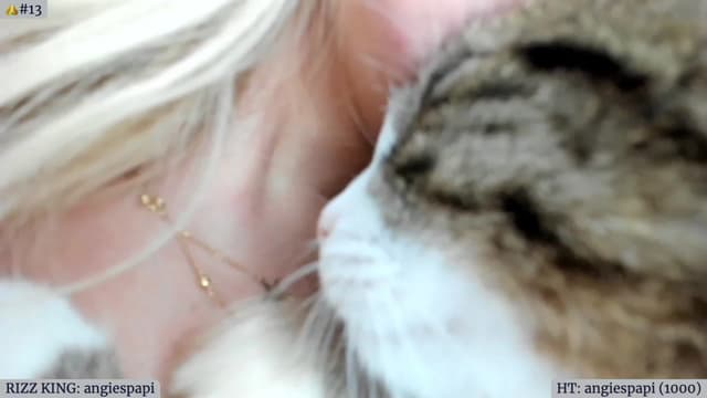 Gallery image thumbnail from Angie's myfreecams stream on, 08/20/2023, 04:27 image 18 of 20