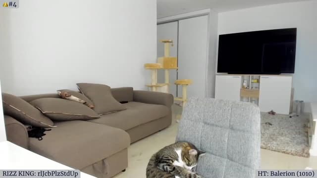 Gallery image thumbnail from Angie's myfreecams stream on, 10/05/2023, 05:16 image 10 of 20
