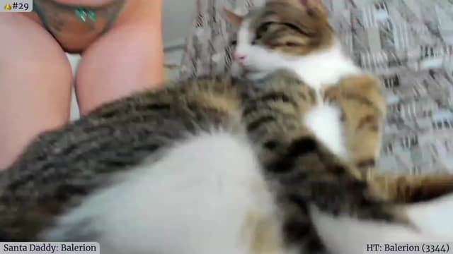 Gallery image thumbnail from Angie's myfreecams stream on, 12/09/2023, 06:54 image 15 of 20