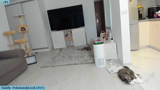 Gallery image thumbnail from Angie's myfreecams stream on, 04/09/2024, 03:25 image 18 of 20