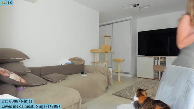 Gallery image thumbnail from Angie's myfreecams stream on, 07/02/2024, 05:12 image 16 of 20