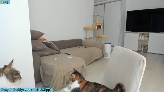 Gallery image thumbnail from Angie's myfreecams stream on, 07/28/2024, 03:43 image 19 of 20