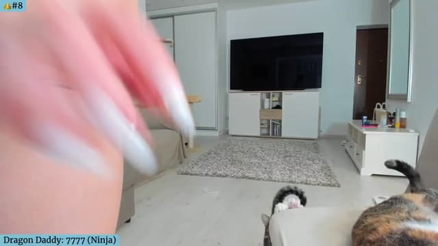 Gallery image thumbnail from Angie's myfreecams stream on, 09/09/2024, 05:15 image 9 of 20