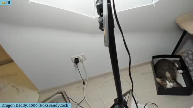 Gallery image thumbnail from Angie's myfreecams stream on, 09/14/2024, 05:33 image 9 of 20