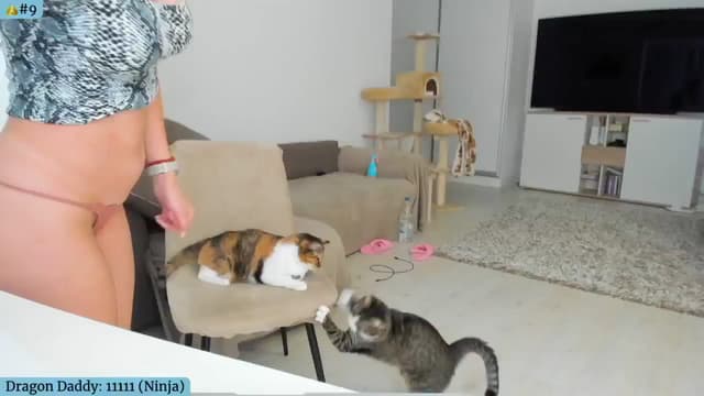Gallery image thumbnail from Angie's myfreecams stream on, 09/19/2024, 04:21 image 14 of 20
