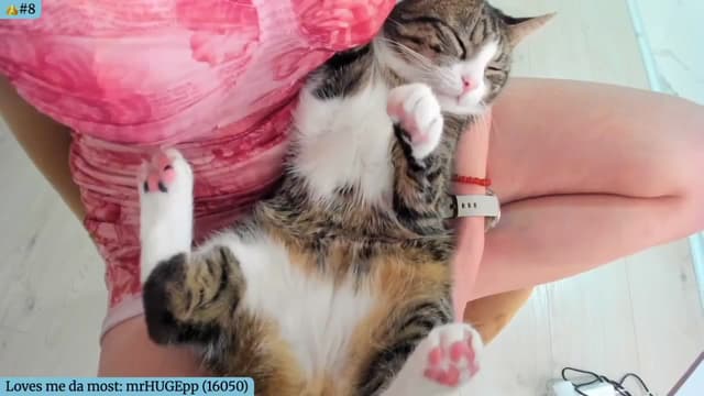 Gallery image thumbnail from Angie's myfreecams stream on, 04/29/2025, 04:28 image 10 of 20