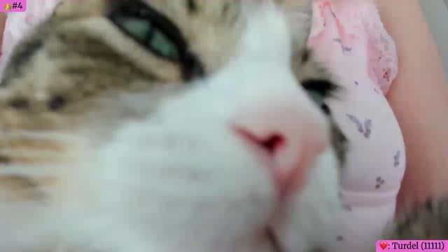 Gallery image thumbnail from Angie's myfreecams stream on, 05/29/2026, 05:46 image 17 of 20