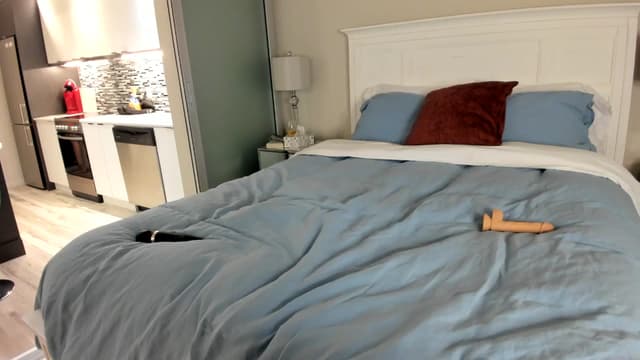 Gallery image thumbnail from AriaO's myfreecams stream on, 07/31/2024, 08:05 image 11 of 20