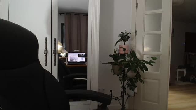 Gallery image thumbnail from AryaS's myfreecams stream on, 11/01/2024, 18:06 image 17 of 20