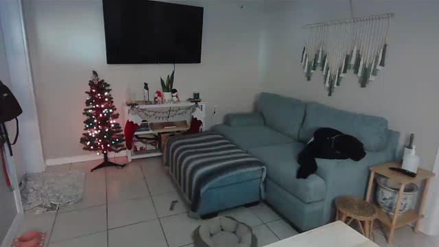 Gallery image thumbnail from Bambz's myfreecams stream on, 01/05/2026, 16:58 image 16 of 20