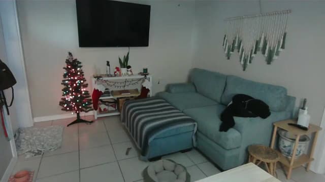 Gallery image thumbnail from Bambz's myfreecams stream on, 01/05/2026, 16:58 image 19 of 20