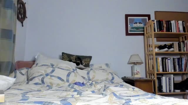 Gallery image thumbnail from Becka's myfreecams stream on, 05/25/2024, 07:25 image 4 of 20