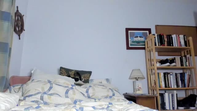 Gallery image thumbnail from Becka's myfreecams stream on, 05/25/2024, 07:51 image 11 of 20