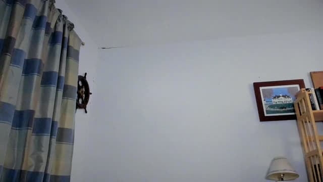 Gallery image thumbnail from Becka's myfreecams stream on, 05/30/2024, 08:38 image 4 of 20