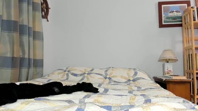 Gallery image thumbnail from Becka's myfreecams stream on, 05/31/2024, 07:12 image 15 of 20