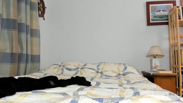 Gallery image thumbnail from Becka's myfreecams stream on, 05/31/2024, 07:12 image 20 of 20