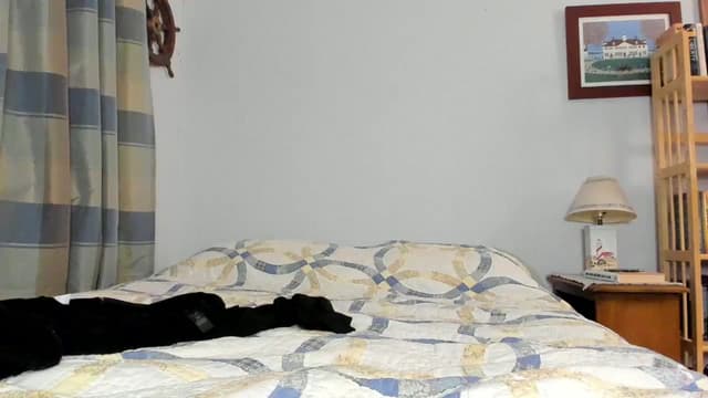 Gallery image thumbnail from Becka's myfreecams stream on, 05/31/2024, 07:12 image 17 of 20