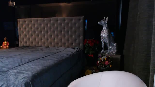 Gallery image thumbnail from D_y_y's myfreecams stream on, 07/22/2024, 06:39 image 13 of 20