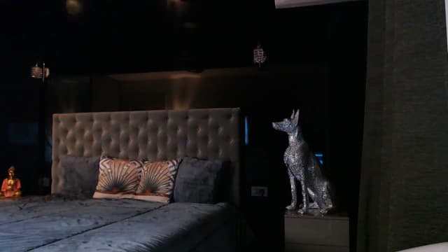 Gallery image thumbnail from D_y_y's myfreecams stream on, 08/17/2024, 04:44 image 13 of 20