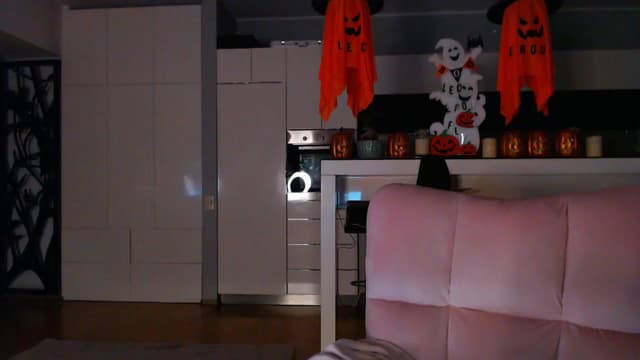 Gallery image thumbnail from D_y_y's myfreecams stream on, 10/24/2024, 05:01 image 10 of 20