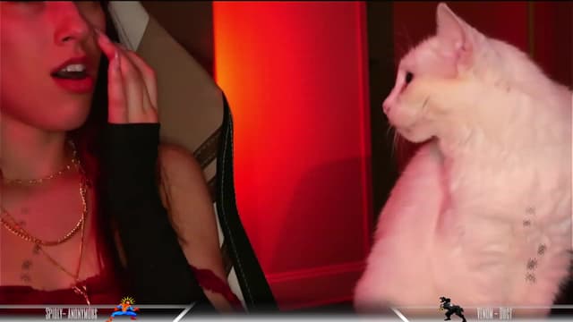 Gallery image thumbnail from Dashy's myfreecams stream on, 10/20/2023, 09:56 image 16 of 20