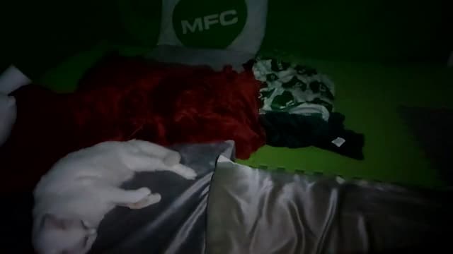 Gallery image thumbnail from Dashy's myfreecams stream on, 09/28/2024, 08:05 image 10 of 20