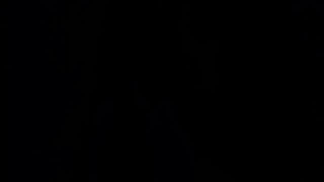 Gallery image thumbnail from Desal's myfreecams stream on, 05/09/2026, 03:28 image 17 of 20
