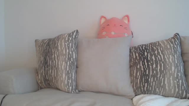 Gallery image thumbnail from Effie's myfreecams stream on, 05/05/2025, 01:05 image 19 of 20