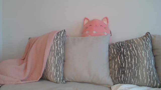 Gallery image thumbnail from Effie's myfreecams stream on, 05/05/2025, 01:05 image 6 of 20