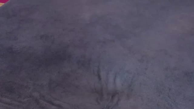 Gallery image thumbnail from Er_in's myfreecams stream on, 11/22/2022, 16:30 image 20 of 20