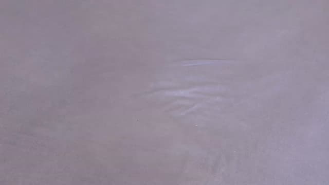 Gallery image thumbnail from Er_in's myfreecams stream on, 12/12/2022, 16:43 image 19 of 20