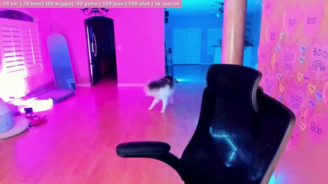 Gallery image thumbnail from Haru_'s myfreecams stream on, 03/01/2025, 06:33 image 2 of 20