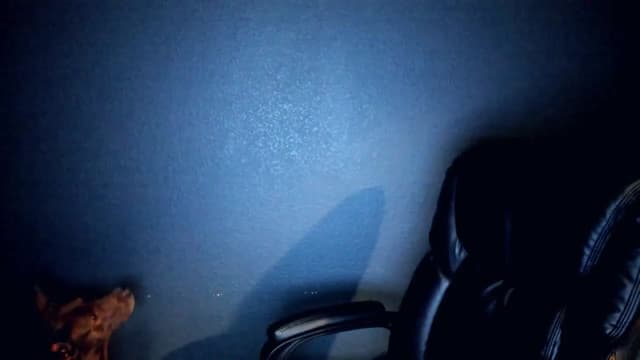 Gallery image thumbnail from Haru_'s myfreecams stream on, 04/19/2025, 05:36 image 3 of 20
