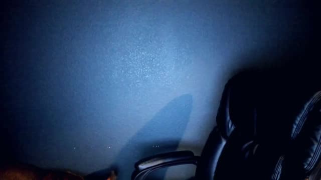 Gallery image thumbnail from Haru_'s myfreecams stream on, 04/19/2025, 05:36 image 1 of 20