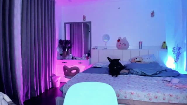 Gallery image thumbnail from Haru_'s myfreecams stream on, 06/22/2025, 05:28 image 2 of 20