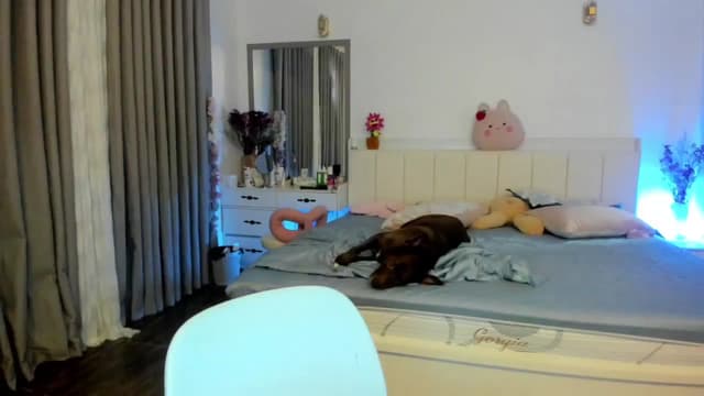 Gallery image thumbnail from Haru_'s myfreecams stream on, 08/12/2025, 03:05 image 2 of 20