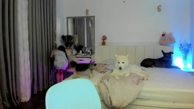 Gallery image thumbnail from Haru_'s myfreecams stream on, 08/29/2025, 06:00 image 2 of 20