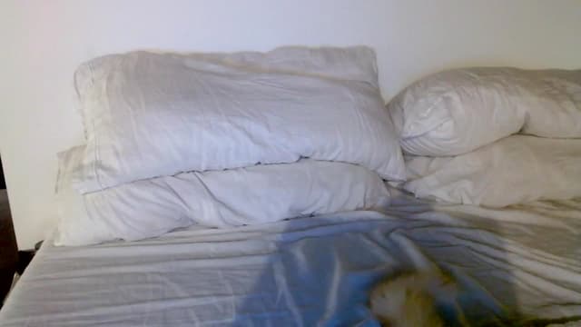 Gallery image thumbnail from Ivy__'s myfreecams stream on, 05/25/2024, 08:06 image 14 of 20