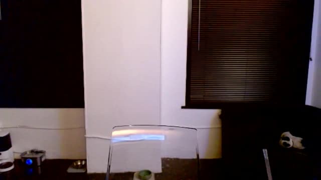 Gallery image thumbnail from Ivy__'s myfreecams stream on, 07/05/2024, 07:23 image 17 of 20
